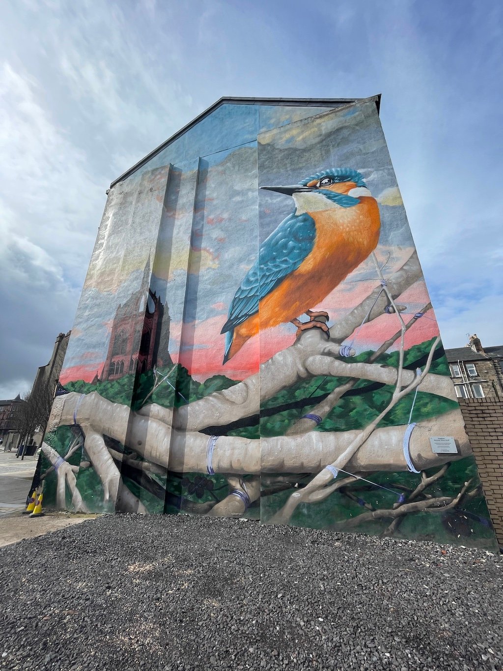 Paisley mural No. 14: "The Kingfisher" by Mark Worst (2017) on Johnston Street, Paisley town centre