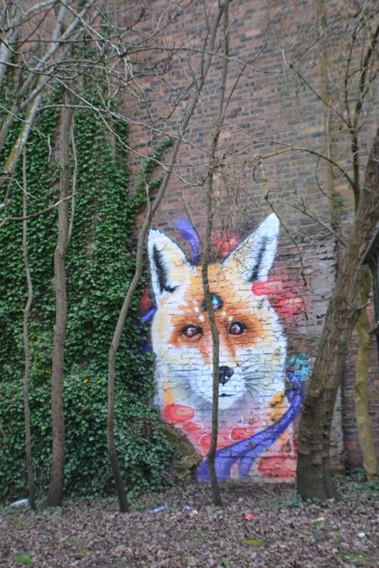 Paisley mural No. 45: "The Fox" by Mark Worst on Off the High Street, Paisley town centre
